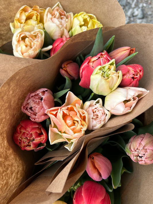 2025 Subscription - Tulip Deluxe - Jan to May